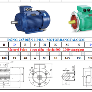 Động cơ điện 3 pha 0.25kw-6poles