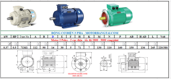 Động cơ điện 3 pha 0.37kw-2poles