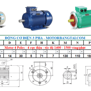 Động cơ điện 3 pha 0.37kw-4poles