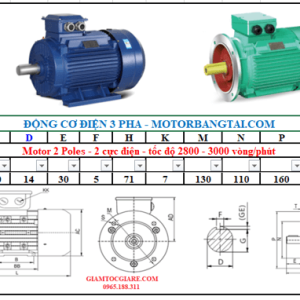 Động cơ điện 3 pha 0.55kw-2poles