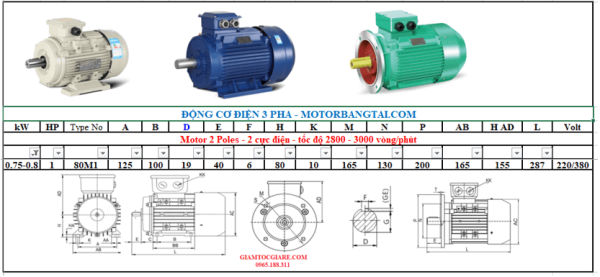 Động cơ điện 3 pha 0.75kw-2poles