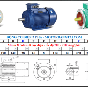 Động cơ điện 3 pha 1.5kw-8poles