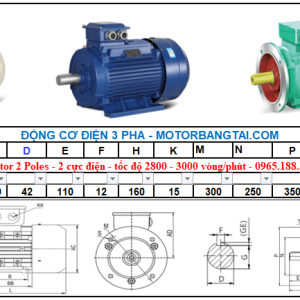 Động cơ điện 3 pha 11kw-2poles