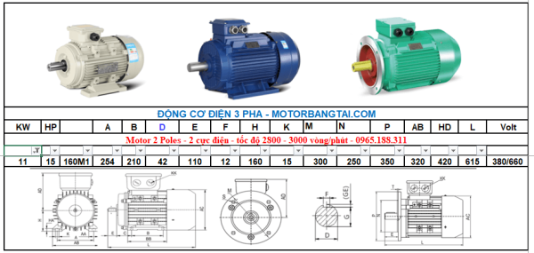 Động cơ điện 3 pha 11kw-2poles