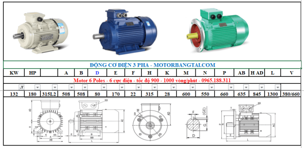 Động cơ điện 3 pha 132kw-6poles