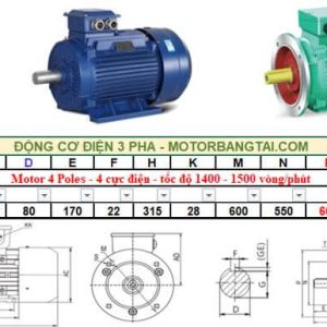 Động cơ điện 3 pha 132kw-4poles