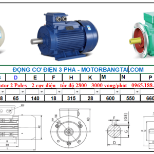 Động cơ điện 3 pha 160kw-2poles