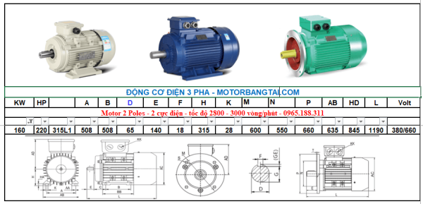 Động cơ điện 3 pha 160kw-2poles