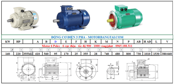 Động cơ điện 3 pha 160kw-6poles