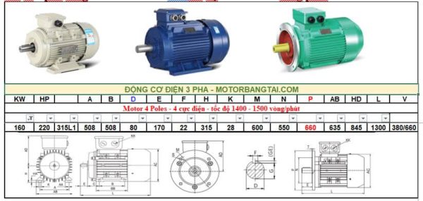 Động cơ điện 3 pha 160kw-4poles