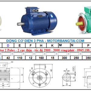 Động cơ điện 3 pha 18kw-2poles