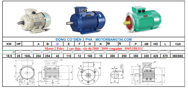Động cơ điện 3 pha 18kw-2poles