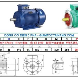 Động cơ điện 3 pha 18kw-4poles