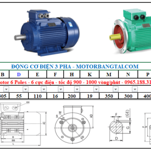 Động cơ điện 3 pha 18kw-6poles