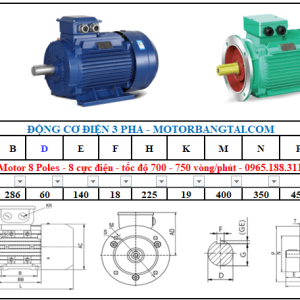 Động cơ điện 3 pha 18kw-8poles