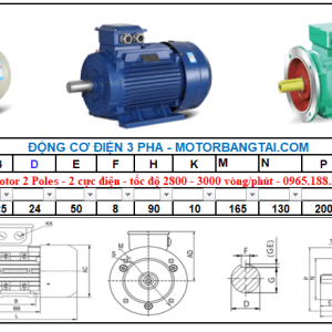 Động cơ điện 3 pha 2.2kw-2poles