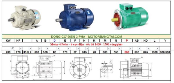 Động cơ điện 3 pha 200kw-4poles