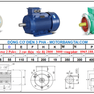 Động cơ điện 3 pha 30kw-2poles