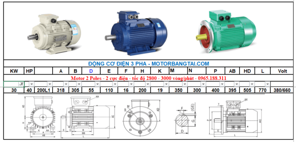 Động cơ điện 3 pha 30kw-2poles