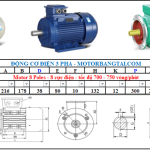 Động cơ điện 3 pha 3kw-8poles