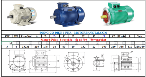 Động cơ điện 3 pha 3kw-8poles