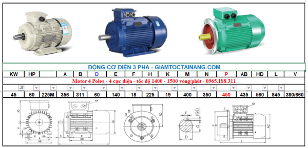 Động cơ điện 3 pha 45kw-4poles