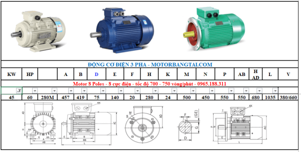 Động cơ điện 3 pha 45kw-8poles