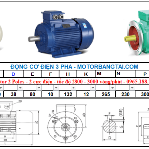 Động cơ điện 3 pha 5.5kw-2poles