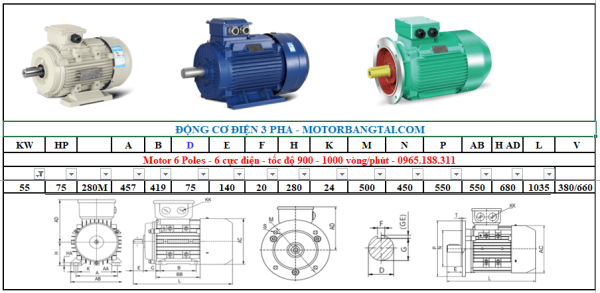 Động cơ điện 3 pha 55kw-6poles