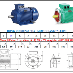 Động cơ điện 3 pha 55kw-8poles