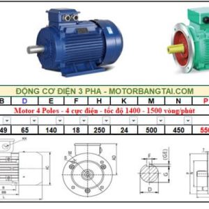 Động cơ điện 3 pha 55kw-4poles