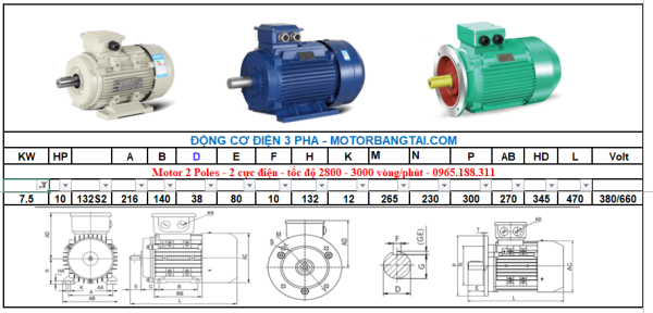 Động cơ điện 3 pha 7.5kw-2poles