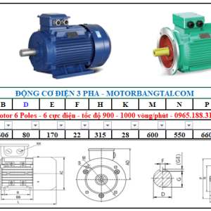 Động cơ điện 3 pha 75kw-6poles