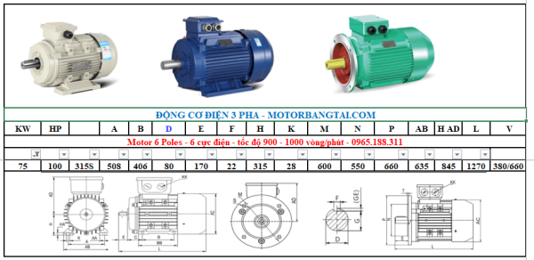 Động cơ điện 3 pha 75kw-6poles