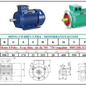 Động cơ điện 3 pha 90kw-8poles