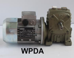 Motor gắn với hộp số WPDA