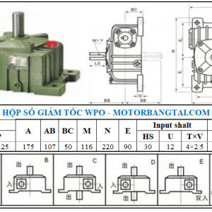 Hộp số wpo 50