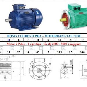 Động cơ điện 3 pha 0.25kw-2poles