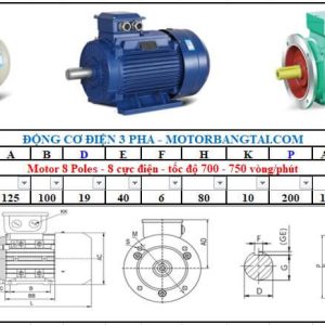 Động cơ điện 3 pha 0.25kw-8poles