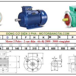 Động cơ điện 3 pha 110kw-2poles