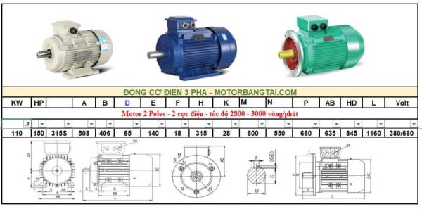 Động cơ điện 3 pha 110kw-2poles