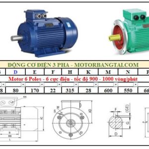 Động cơ điện 3 pha 110kw-6poles