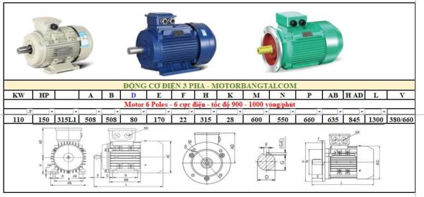 Động cơ điện 3 pha 110kw-6poles