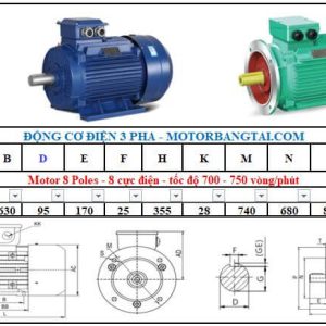 Động cơ điện 3 pha 200kw-8poles