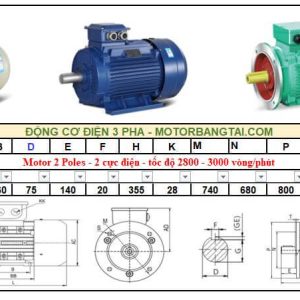 Động cơ điện 3 pha 250kw-2poles