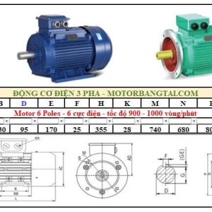 Động cơ điện 3 pha 250kw-6poles