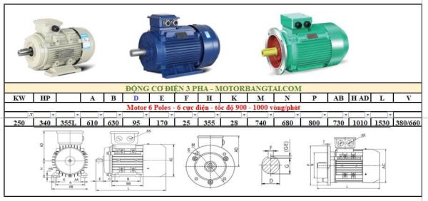 Động cơ điện 3 pha 250kw-6poles