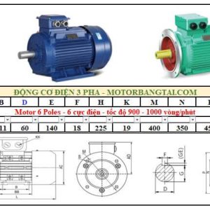 Động cơ điện 3 pha 30kw-6poles