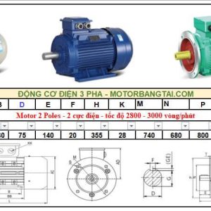 Động cơ điện 3 pha 315kw-2poles