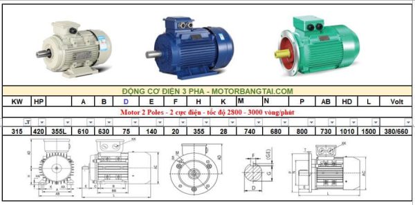 Động cơ điện 3 pha 315kw-2poles